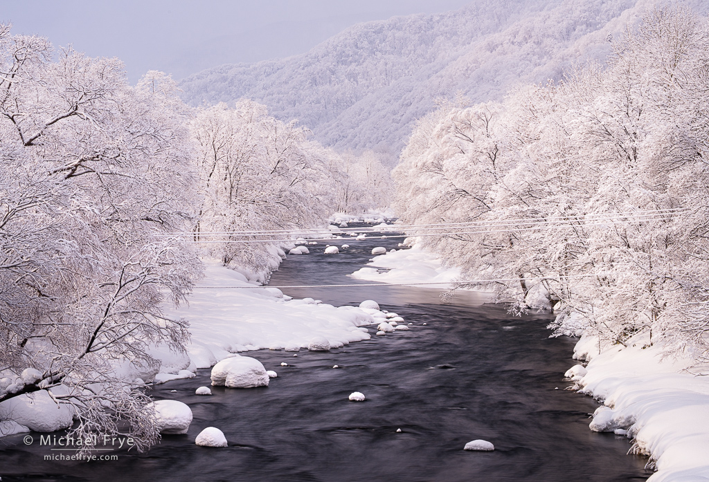River and snow-covered trees, Hokkaido, Japan