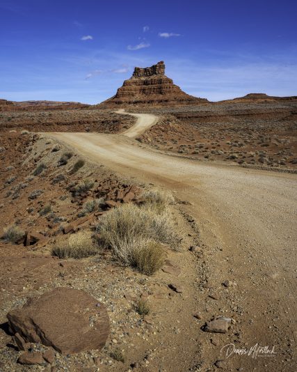 DLM Z7 (2443 of 218)