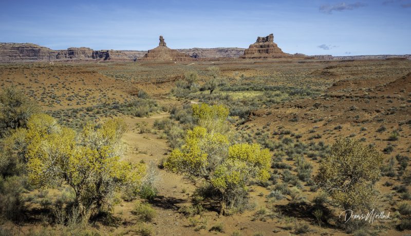 DLM Z7 (2436 of 218)