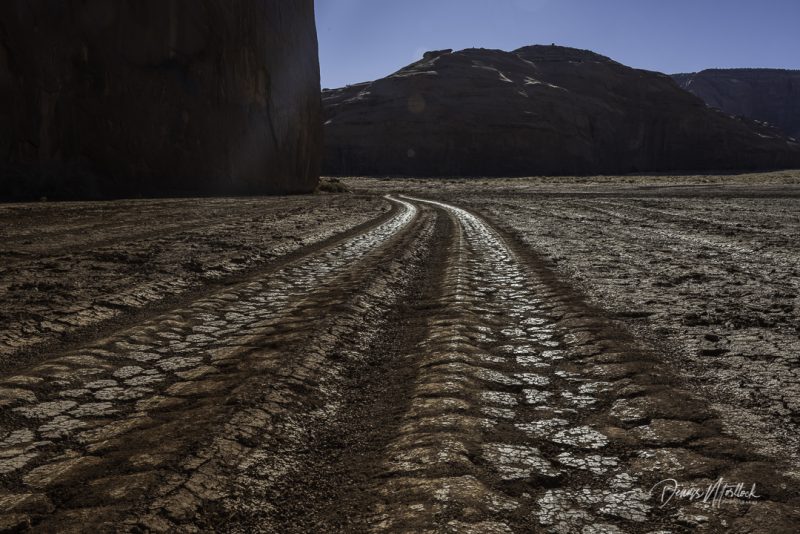 DLM Z7 (2868 of 584)