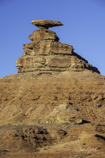 DLM Z7 (2610 of 218)