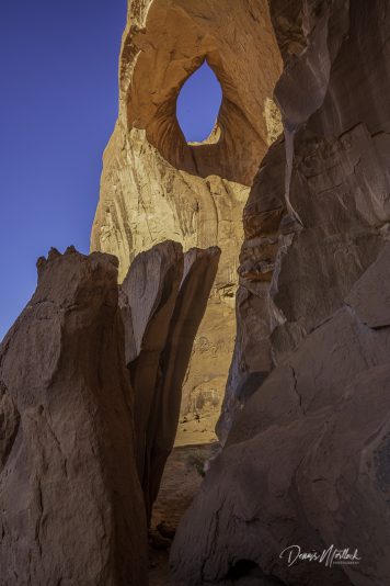 DLM Z7 (2835 of 584)-HDR